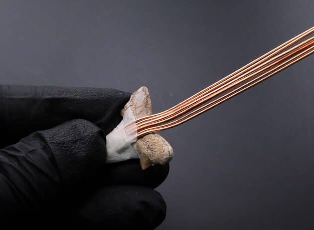 Wire-Wrapping Shark Tooth With Diamond Weave Bail Pendant Tutorial 7